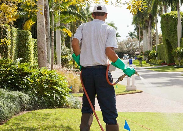 About Yarmouth ME Pest Control Pros